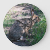 Grande Horloge Ronde Lapin Brown, Repos dans la nature (Recto)