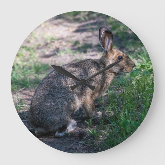 Grande Horloge Ronde Lapin Brown, Repos dans la nature (Recto)