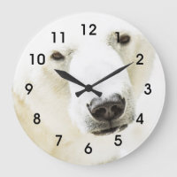 Le regard d'un ours polaire