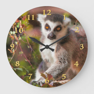 GRANDE HORLOGE RONDE LEMUR LEISURE