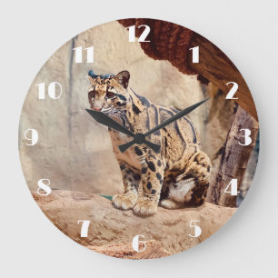 Grande Horloge Ronde léopard nébuleux image nature faune exotique