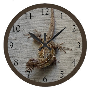 Grande Horloge Ronde Lézard rampant 