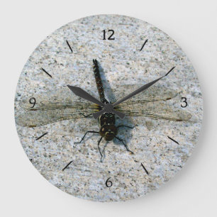 Grande Horloge Ronde libellule