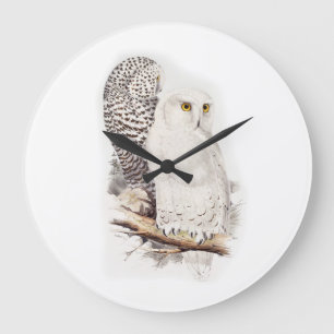 Grande Horloge Ronde Lindas corujas brancas na neve (snowy owls)
