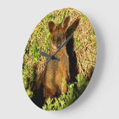 Grande Horloge Ronde Little Wallaby (Angle)
