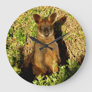 Grande Horloge Ronde Little Wallaby