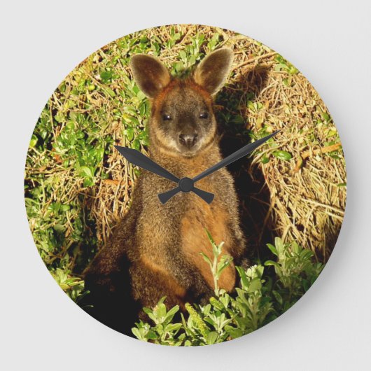 Grande Horloge Ronde Little Wallaby (Recto)