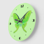 Grande Horloge Ronde Luna moth sur un arrière - plan vert pâle (Angle)