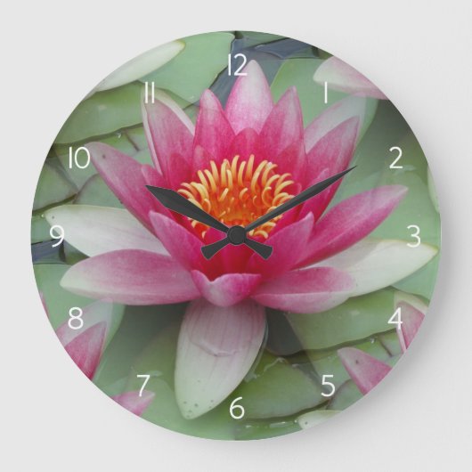 Grande Horloge Ronde Lys d'eau de Lotus rose (Recto)