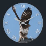 Grande Horloge Ronde Magnificent Red-Tailed Hawk Raptor Bird of Prey<br><div class="desc">This clock feels an amazing wildlife photo of red-tailed hawk perched on the peak of a roof with its wings lifted high above's head preparing to take off. Great for a bird or raptor enthusiast.</div>