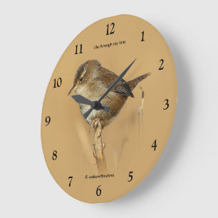 Grande Horloge Ronde Magnifique oiseau chanteur Troglodyte des marais s
