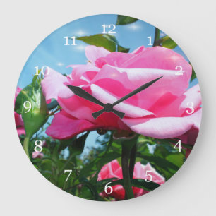 Grande Horloge Ronde Magnifique rose rose dans un ciel bleu. Photograph