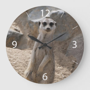 Grande Horloge Ronde Magnifique suricate