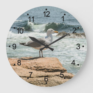 Grande Horloge Ronde Maine coast Ocean Seagull