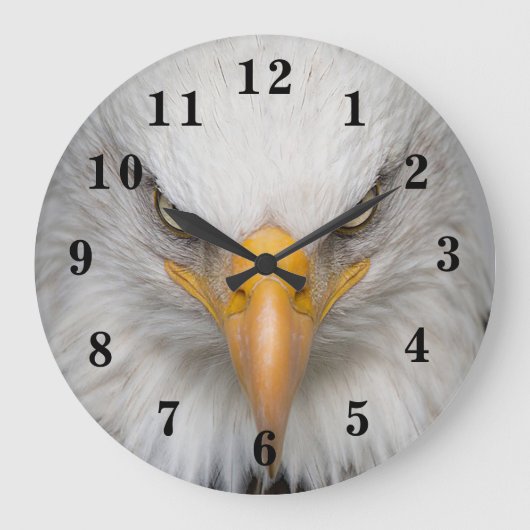 Grande Horloge Ronde Majestic Bald Eagle (Recto)