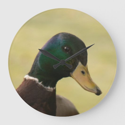 Grande Horloge Ronde Mallard Duck (Recto)
