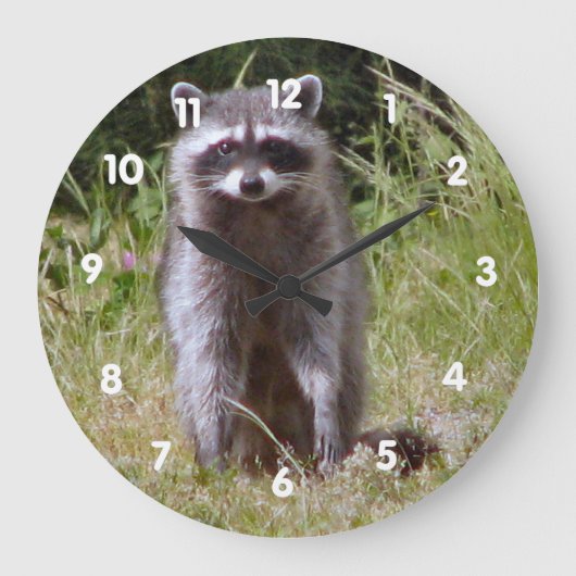 Grande Horloge Ronde Mama Raccoon (Recto)