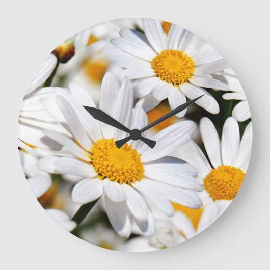 Grande Horloge Ronde Marguerites (Recto)