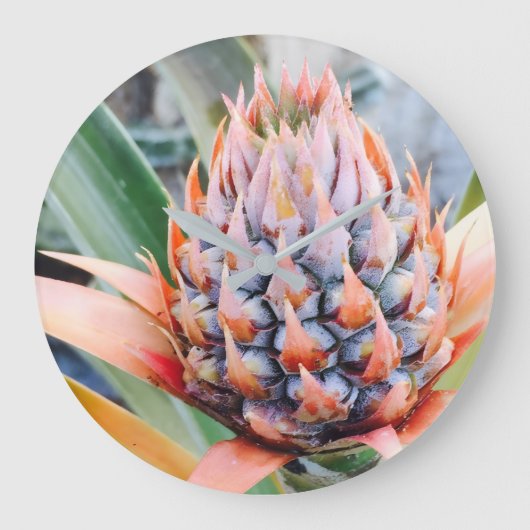 Grande Horloge Ronde Maui Pineapple Hawaii  (Recto)