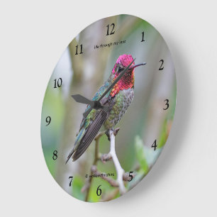 Grande Horloge Ronde Merveilleux colibri d'Anna masculine sur le prunie