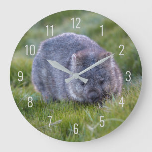 Grande Horloge Ronde Mignon Wombat Faune Animal Australie Vert