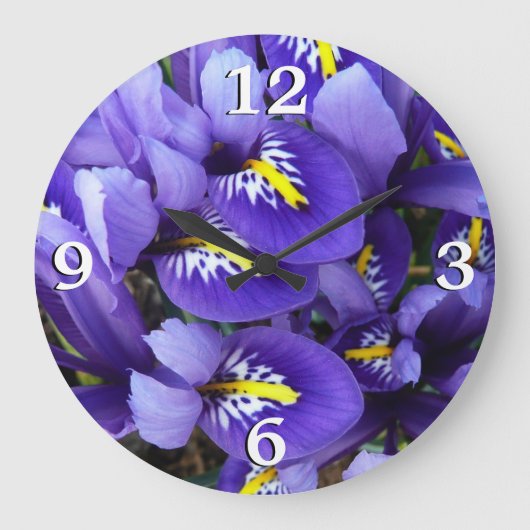 Grande Horloge Ronde Miniature Bleu Irises Printemps Floral (Recto)