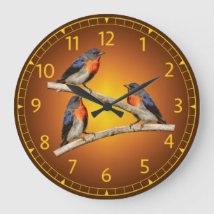 Grande Horloge Ronde Mistletoebird, Pic-aux-Fleurs, Australie, Indonési