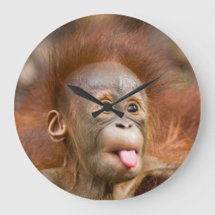 Grande Horloge Ronde Monkey clock