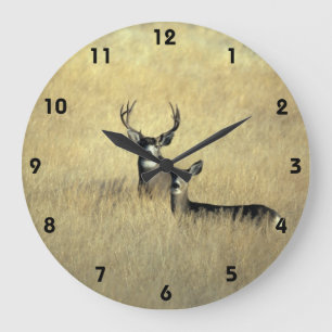 Grande Horloge Ronde Mule deer en Californie