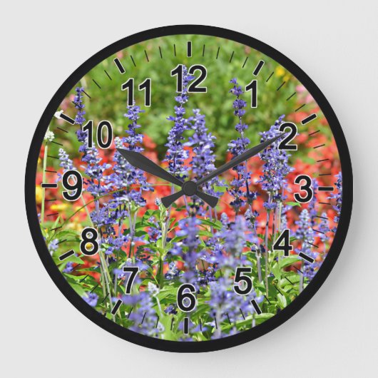 Grande Horloge Ronde Multicolour flower bed with blue salvia genus (Recto)