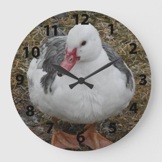 Grande Horloge Ronde Muscovy Duck Clock (Recto)