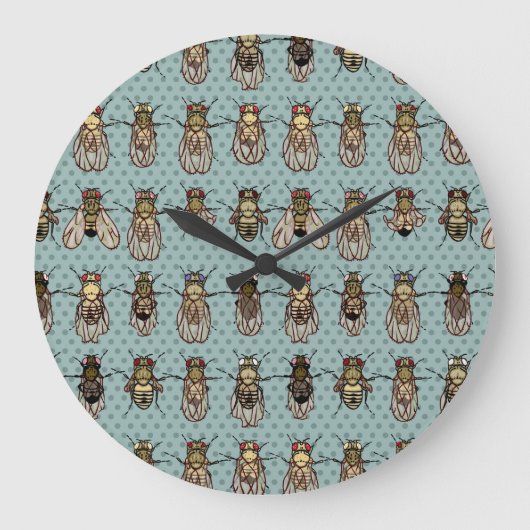Grande Horloge Ronde mutants de Drosophila (Recto)