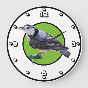 Grande Horloge Ronde Nuthatch à poitrine blanche