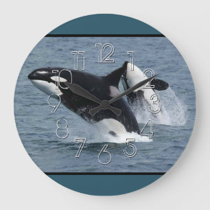 Grande Horloge Ronde Orca Whales Breaching