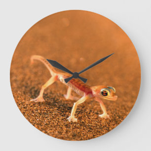 Grande Horloge Ronde Palmatogecko On Sand Dune, Swakpomund, Erongo