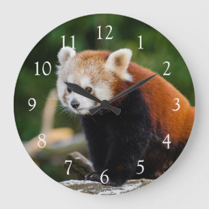Grande Horloge Ronde Panda rouge sauvage de Cute