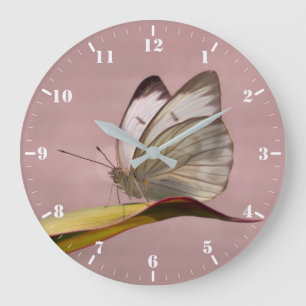 Grande Horloge Ronde Papillon blanc du jardin de Pieris