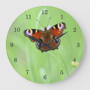 Grande Horloge Ronde Papillon de Peacock