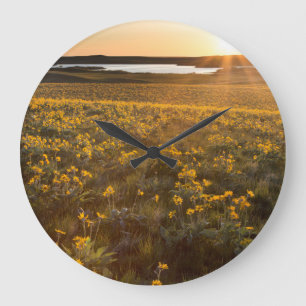 Grande Horloge Ronde Parterre de fleurs sauvages de Balsamroot à feuill