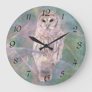 Grande Horloge Ronde Pastel Oilpainting de hibou barré