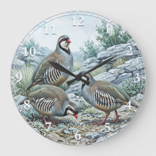Grande Horloge Ronde Perdrix bartavelle ,Alectoris Graeca Oiseaux de Ch