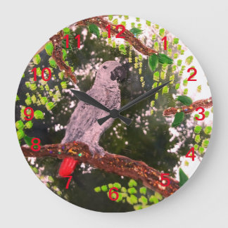 Grande Horloge Ronde Perroquet gris d'Afrique