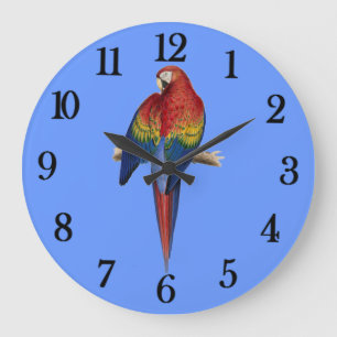 Grande Horloge Ronde Perroquet rouge