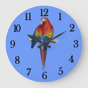 Grande Horloge Ronde Perroquet rouge