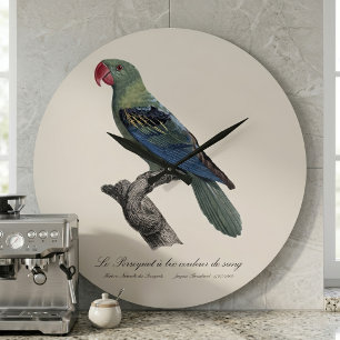 Grande Horloge Ronde Perruche à gros bec, Tanygnathus megalorynchos