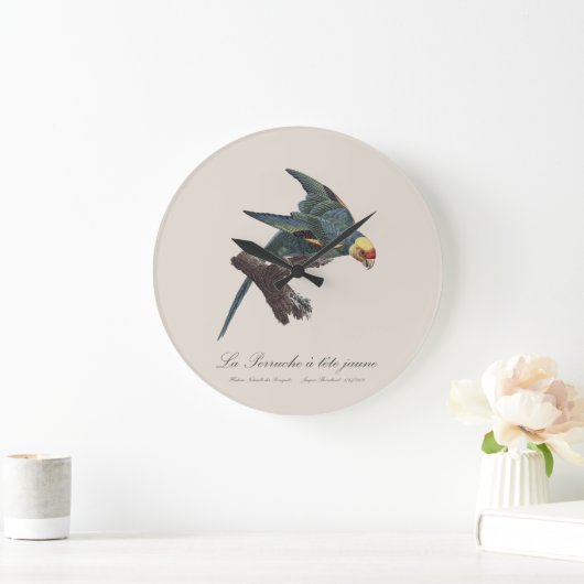 Grande Horloge Ronde Perruche a Tete Jaune / Perruche de Caroline (Maison)