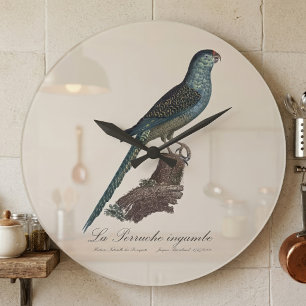 Grande Horloge Ronde Perruche terrestre ou Perruche des marais, Pezopor