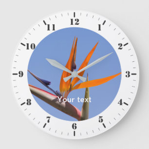 Grande Horloge Ronde Personnalisez avec des marqueurs d'heure et des ca