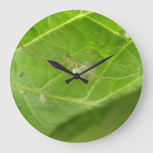 Grande Horloge Ronde Petit Spider Wall Clock (Recto)
