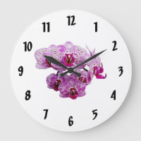 Phalaenopsis OX Happy Girl Orchid